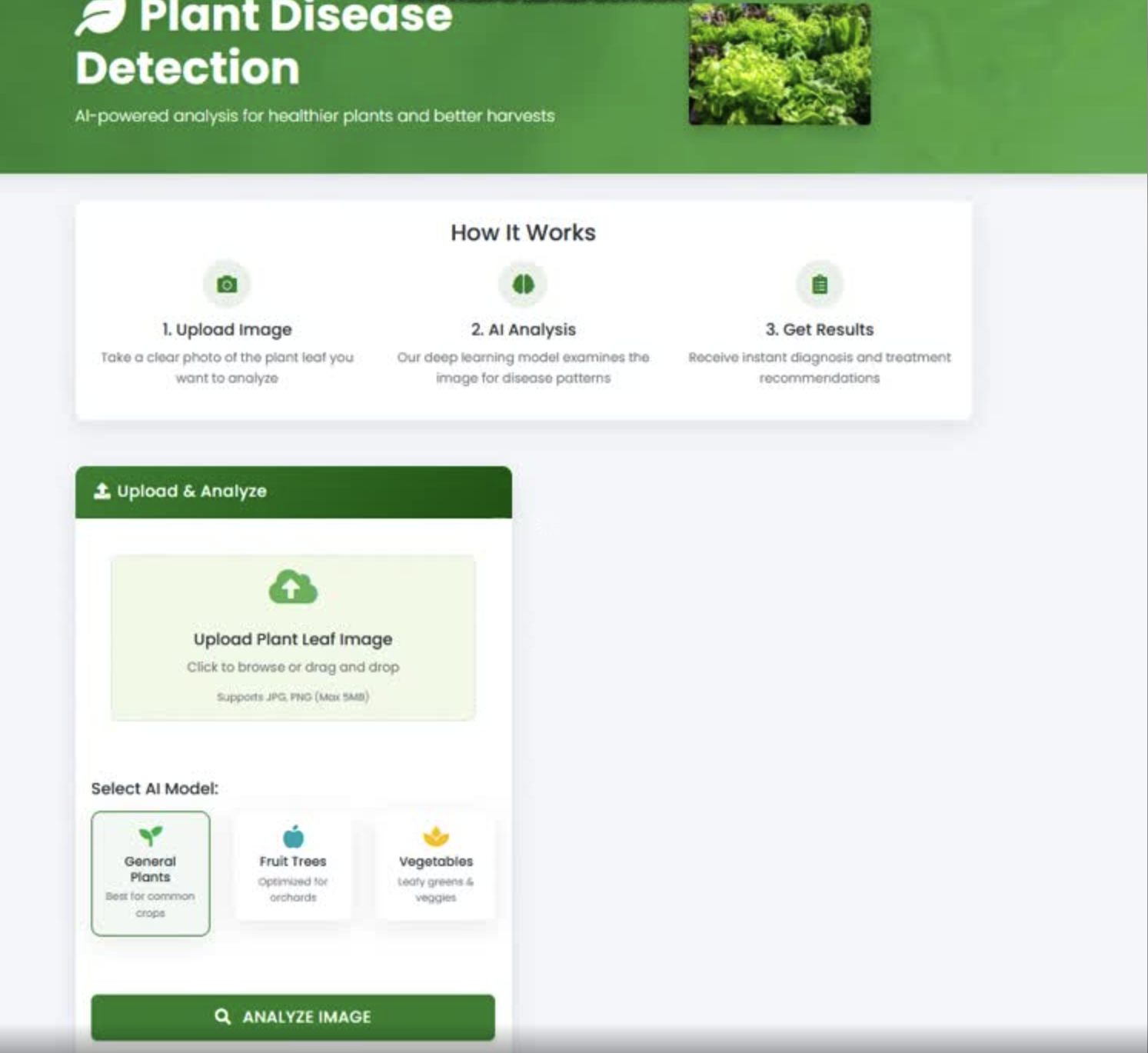 Potato leaf disease classification results